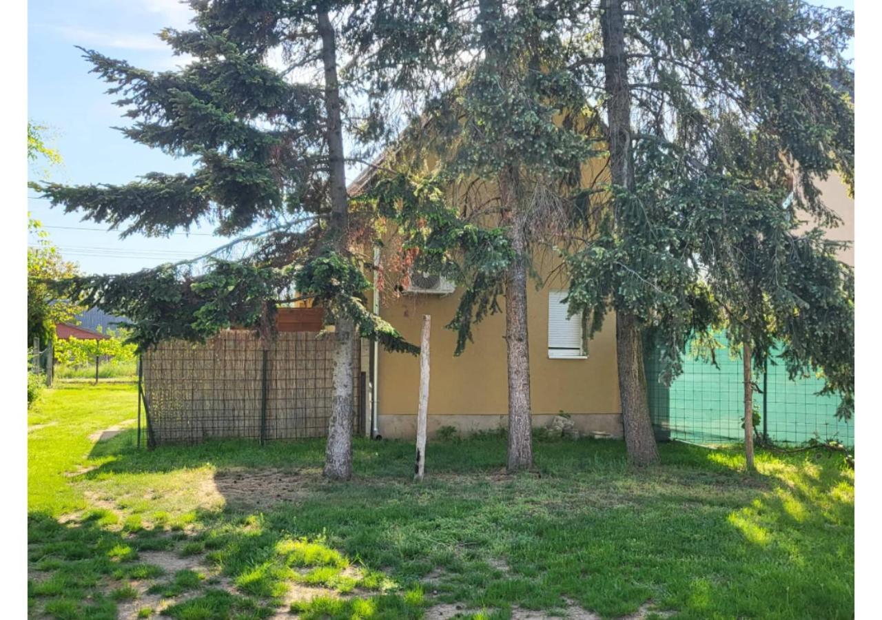 Forrás Vendégház Apartman Tata Kültér fotó