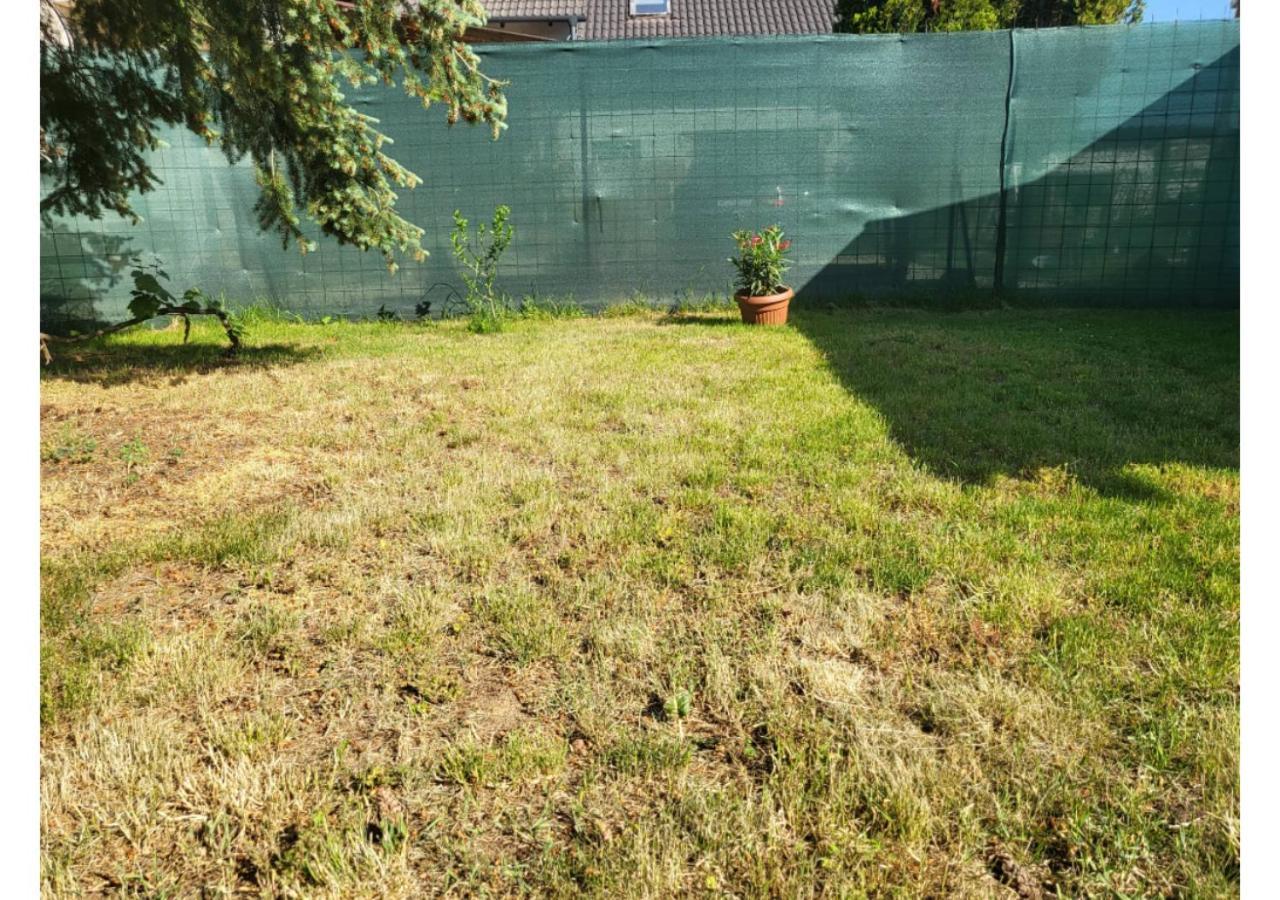 Forrás Vendégház Apartman Tata Kültér fotó